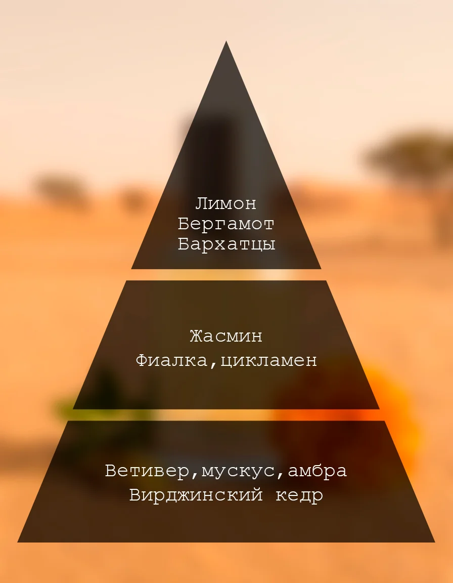 Ноты