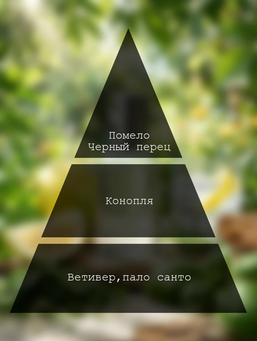 Ноты